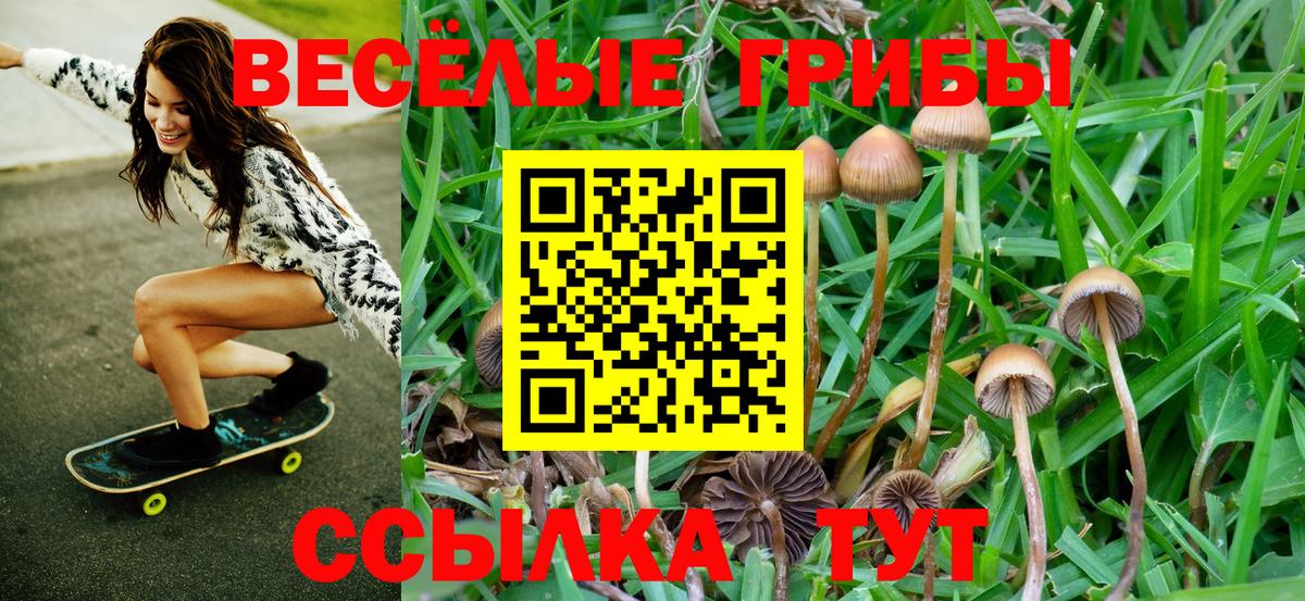 хочу наркоту  Вход с VPN  Екатеринбург  Галлюциногенные грибы мухоморы 